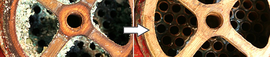 banner6.jpg